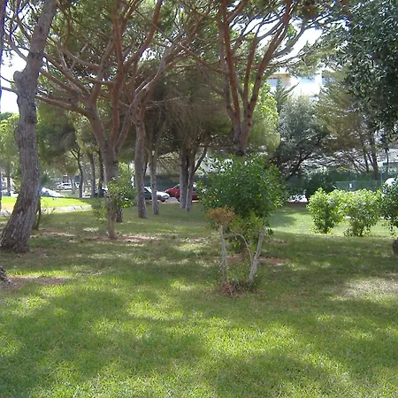 Charming House In With Shared Pool * Albufeira