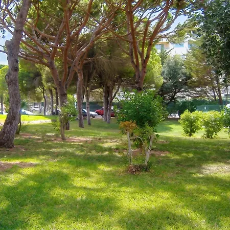 Charming House In With Shared Pool Албуфейра