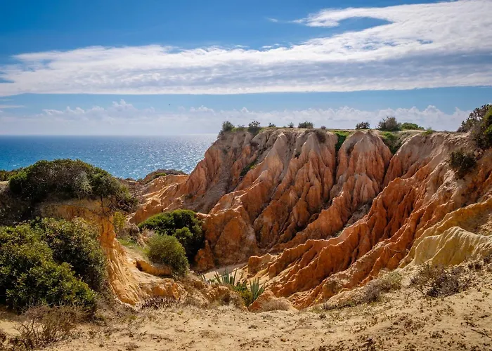 Charming House In With Shared Pool Apartment